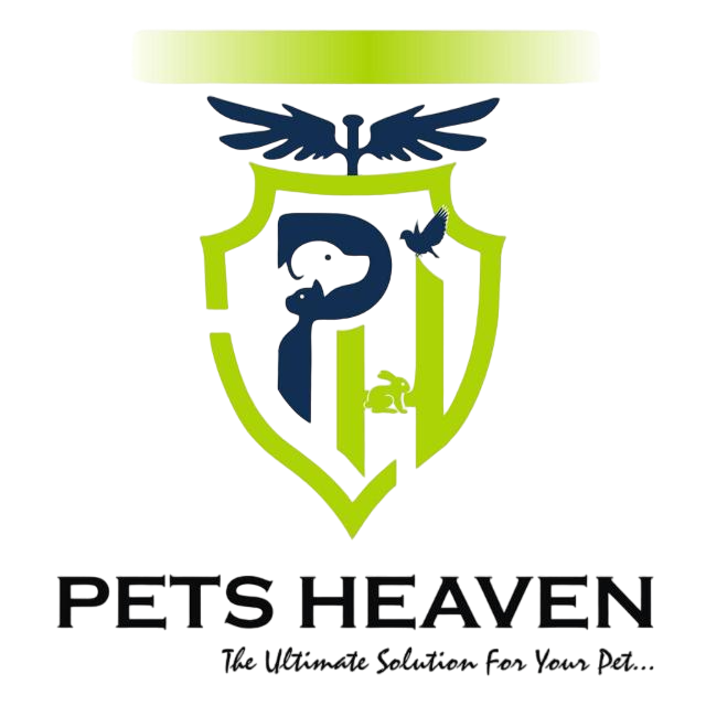 Best Pet Shop in Laketown